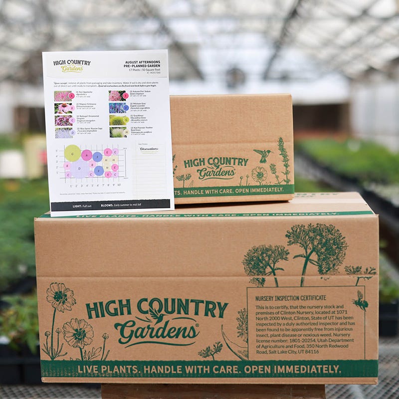 August Afternoons Pre-Planned Garden