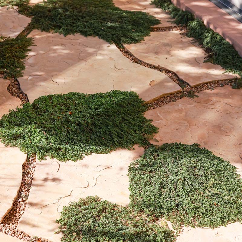 Blue Reflection® Veronica