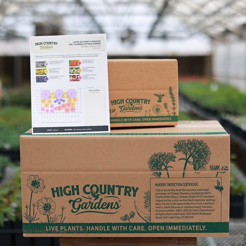 Butterfly Paradise Pre-Planned Cottage Garden