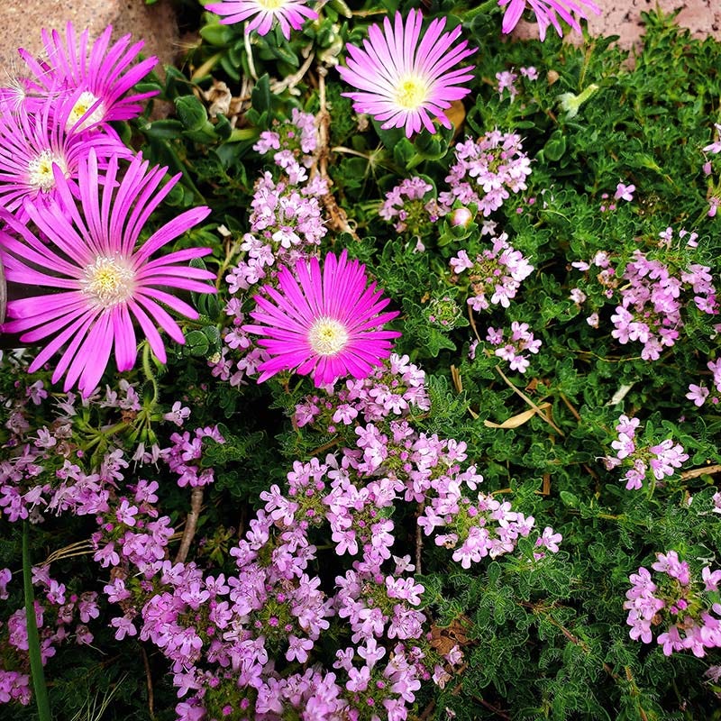 balkonpflanzen künstlich Künstlicher Blumenkasten Herbst/Winter