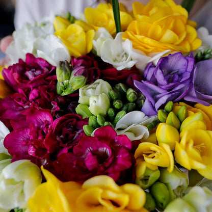 Double Freesia Mix