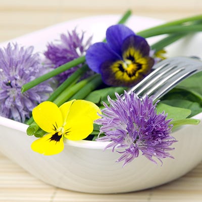 edible plants seeds Edible Flower Seed Mix