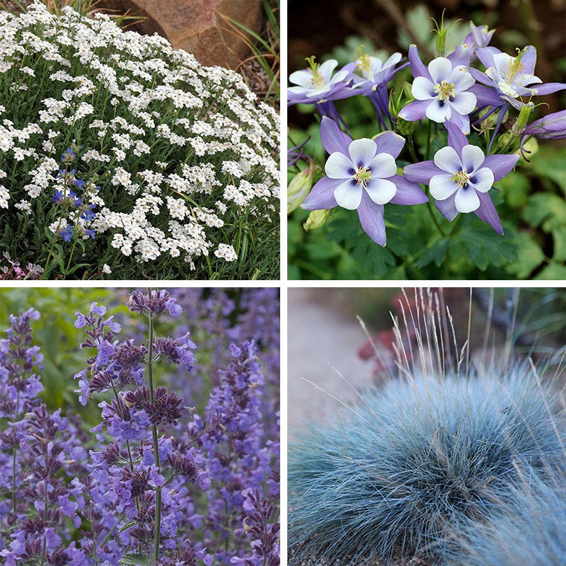 Elegant Elevation Collection