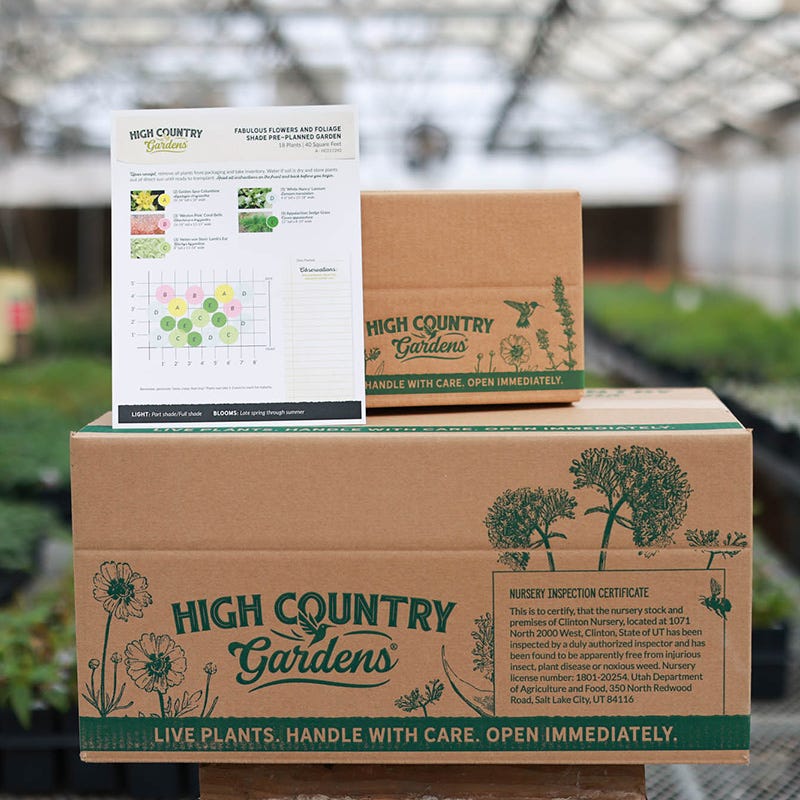 Fabulous Flowers & Foliage Shade Pre-Planned Garden