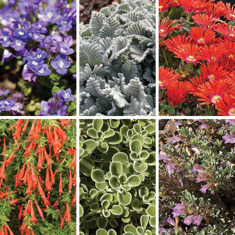 FireSmart Collection - Zone 1