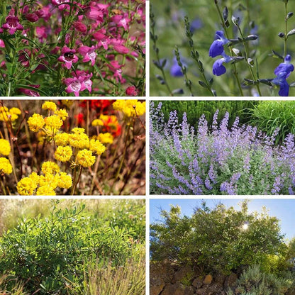 FireSmart Collection - Zone 3