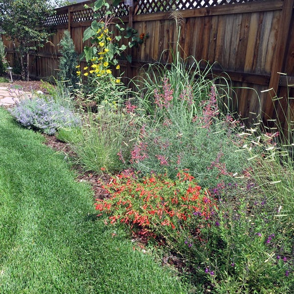 Habitat Hero Birdwatcher Pre-Planned Garden