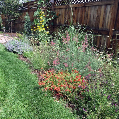 Habitat Hero Birdwatcher Pre-Planned Garden