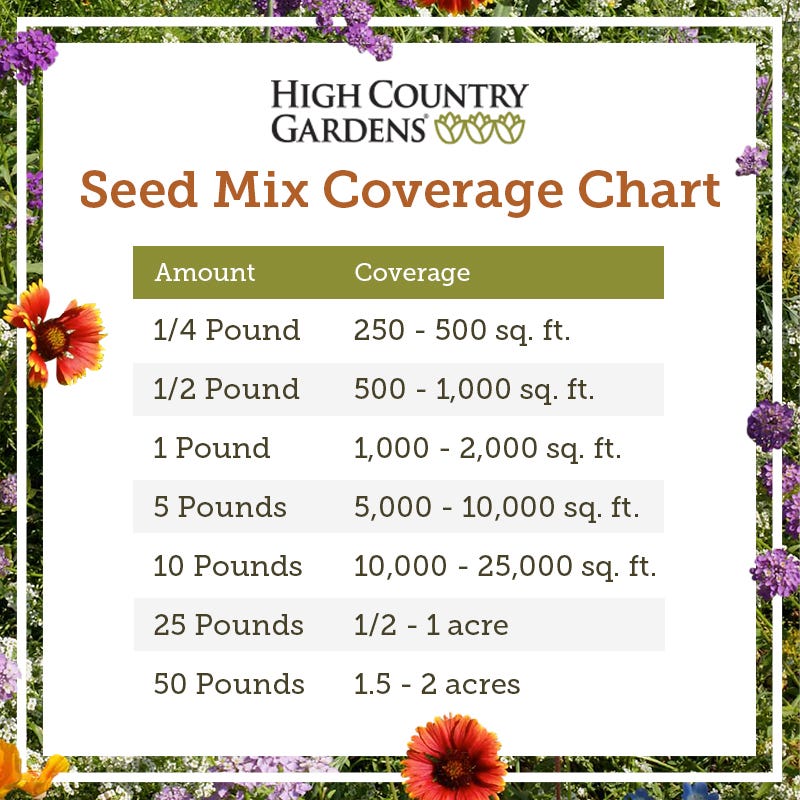 wildflower seed mix coverage Southwest Wildflower Seed Mix