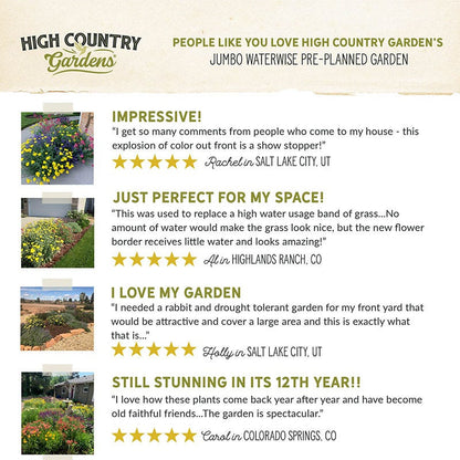 Jumbo Waterwise Pre-Planned Garden