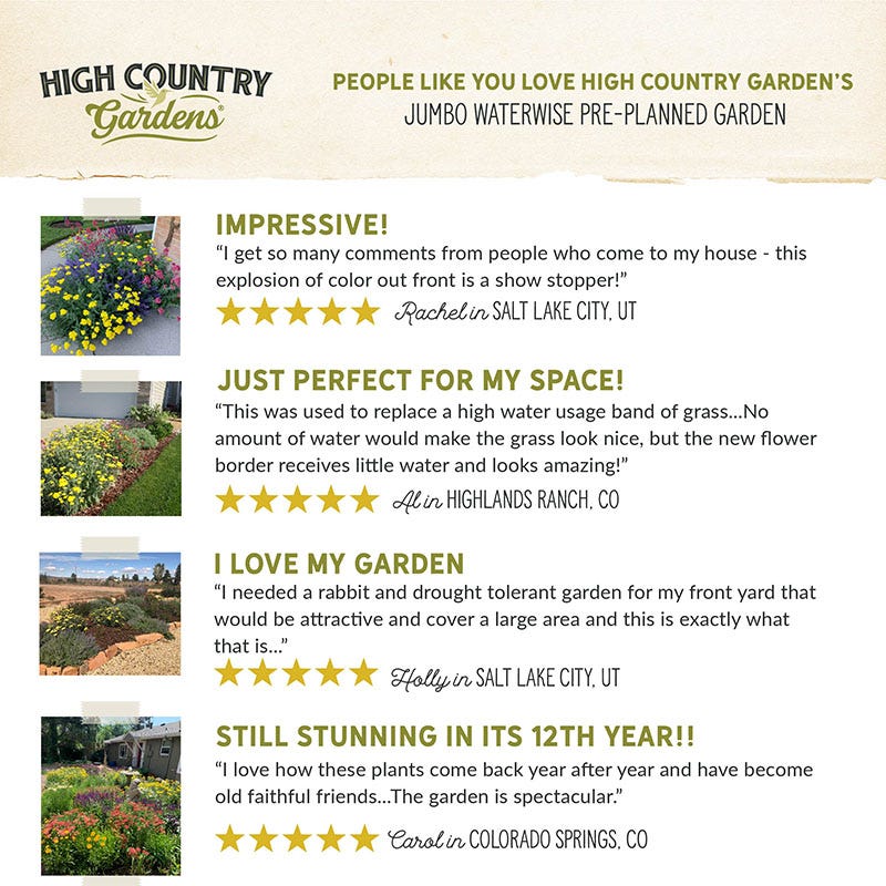 Jumbo Waterwise Pre-Planned Garden