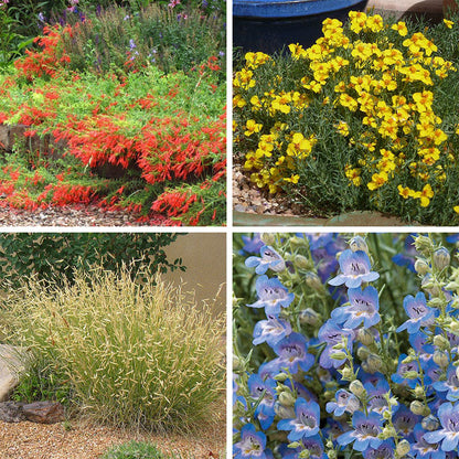 country garden and seeds High Country Gardens Signature Collection