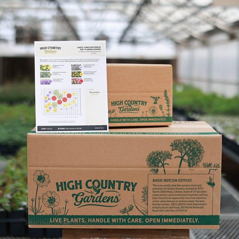 Jumbo Waterwise Pre-Planned Garden For West Coast | High Country