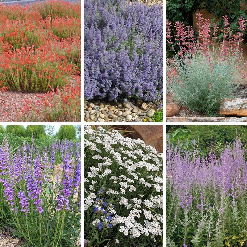 Jumbo Waterwise Extension Collection