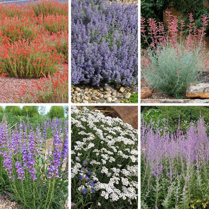 Jumbo Waterwise Extension Collection