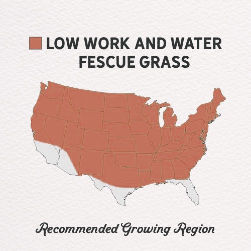 best low water grass seed Low Work and Water Dwarf Fescue Grass Seed