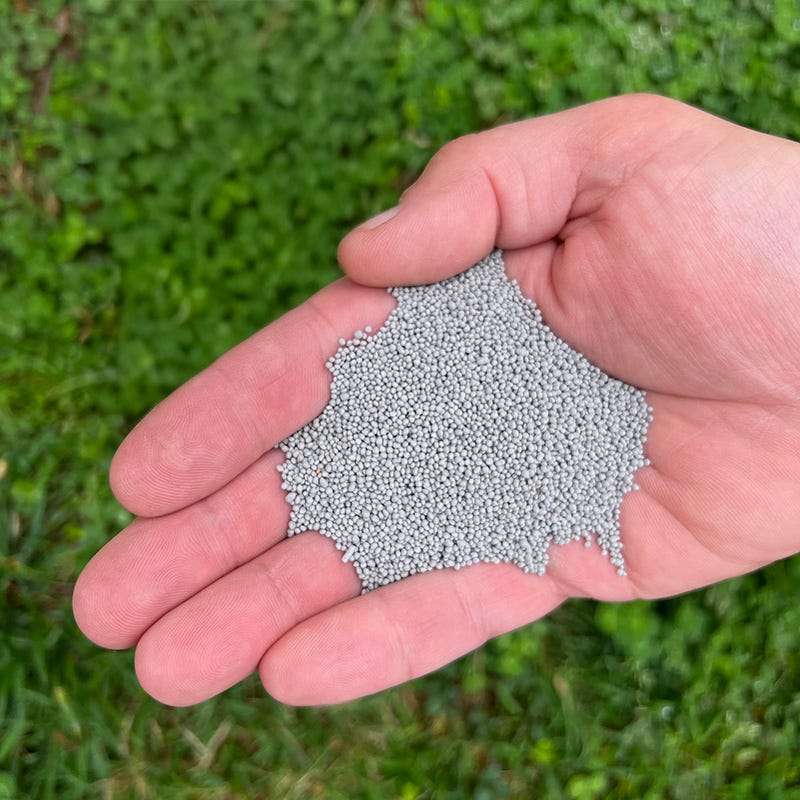planting micro clover seed Microclover Seed (Pelleted)