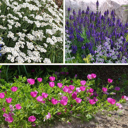 My Soil Is Like A Brick Collection