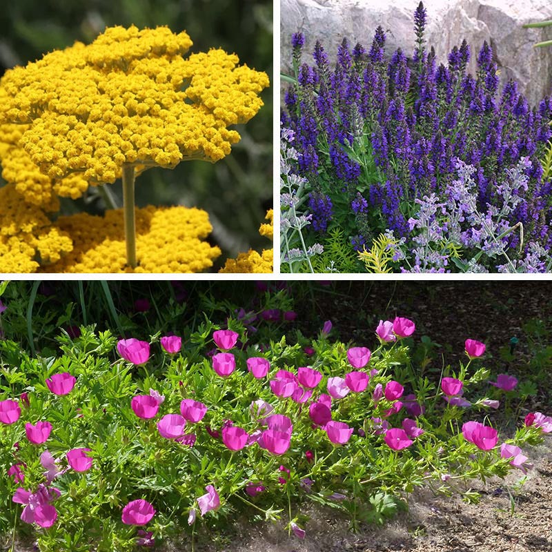 My Soil Is Like A Brick Collection