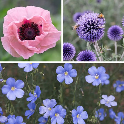 My Soil Is Like A Beach Collection