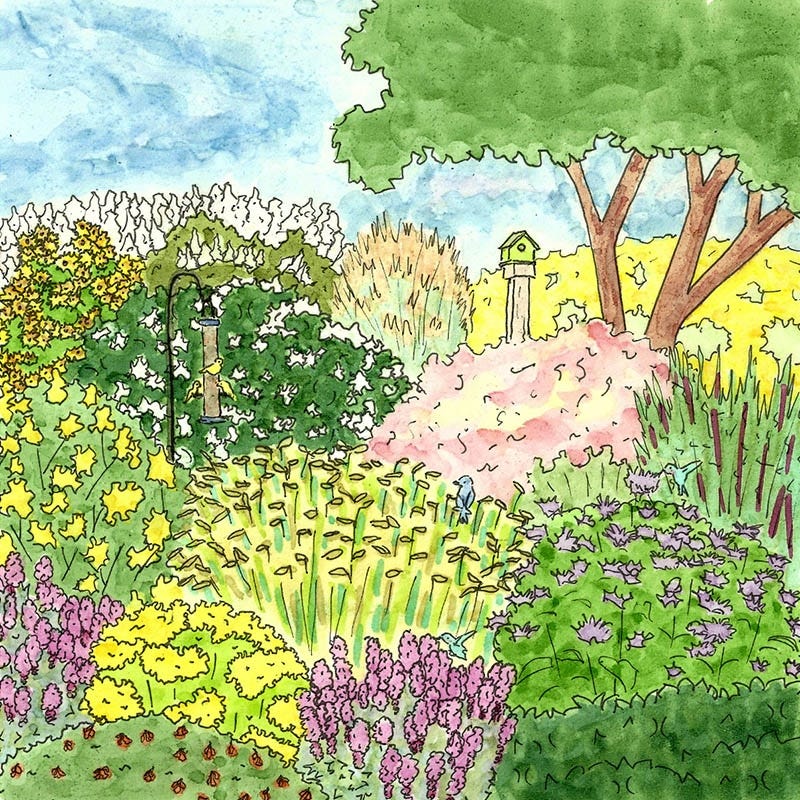 Native Intermountain West Songbird Pre-Planned Garden