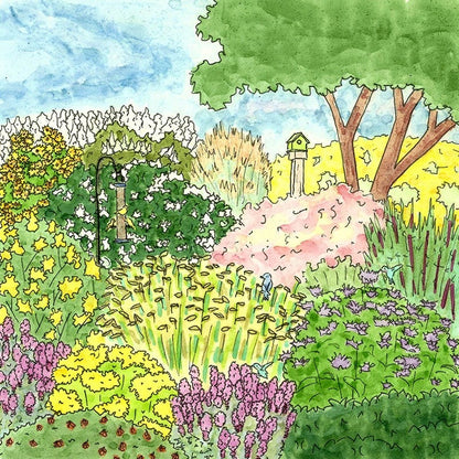 Native Intermountain West Songbird Pre-Planned Garden