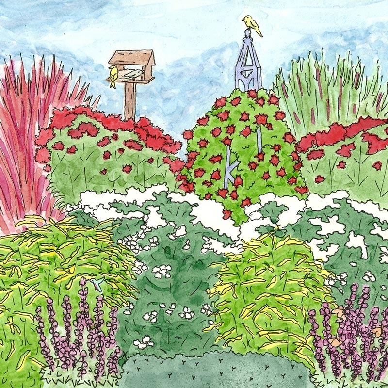 Native Northeast Songbird Pre-Planned Garden