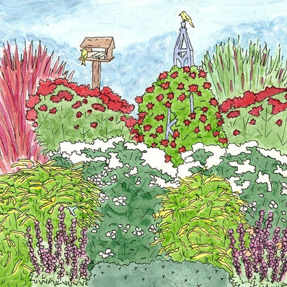 Native Northeast Songbird Pre-Planned Garden