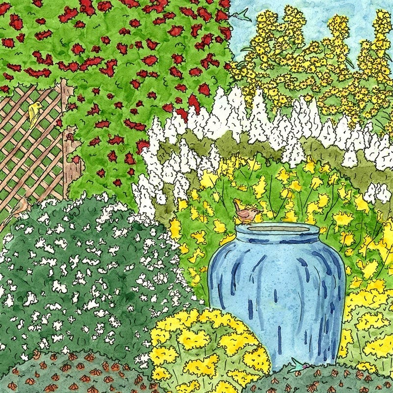 Native Pacific Northwest Songbird Pre-Planned Garden