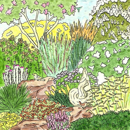 Native Southwest Songbird Pre-Planned Garden