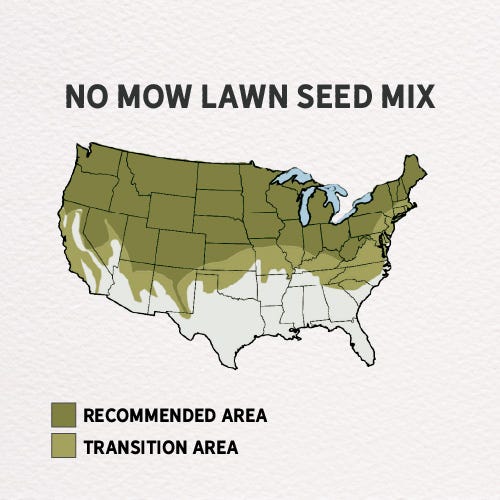no mow grass seed lowe's No Mow Lawn Grass Seed