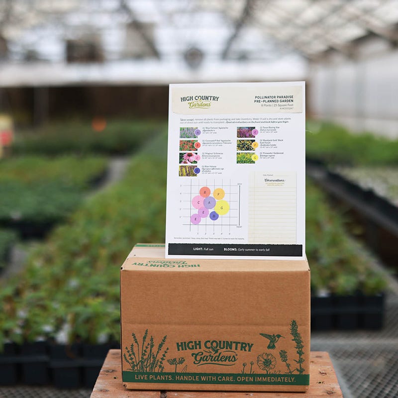 Pollinator Paradise Pre-Planned Garden