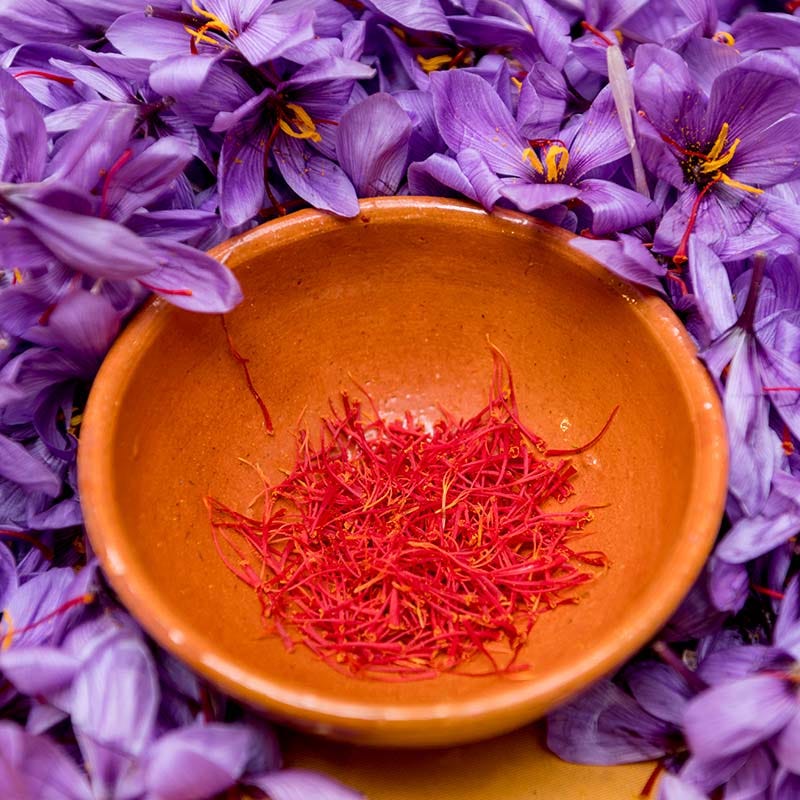 saffron flower seeds price Saffron Crocus | Purple