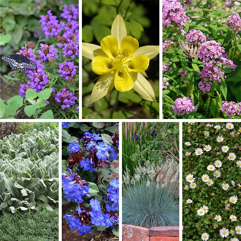 Serene Shade Pre-Planned Garden - Thumbnail 2