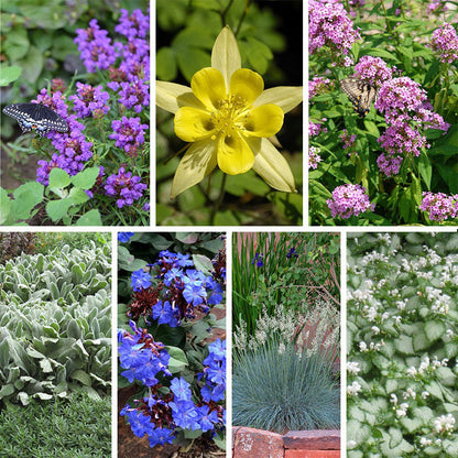 Serene Shade Pre-Planned Garden