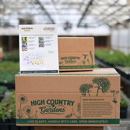 Serene Shade Pre-Planned Garden