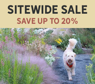 Plants On Sale
