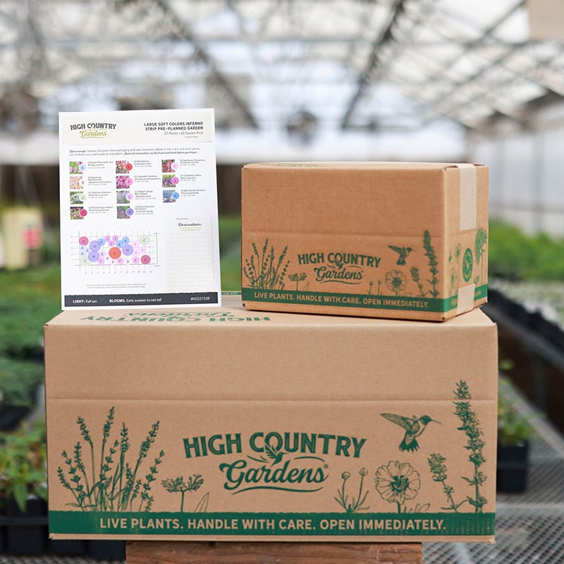 Soft Colors Inferno Strip Pre-Planned Garden