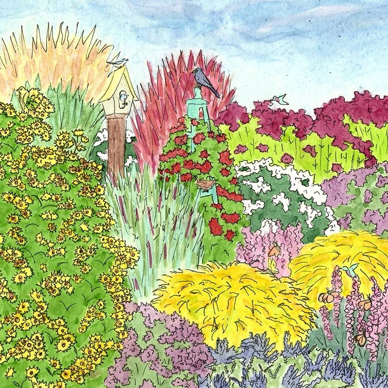 Native Midwest Songbird Pre-Planned Garden