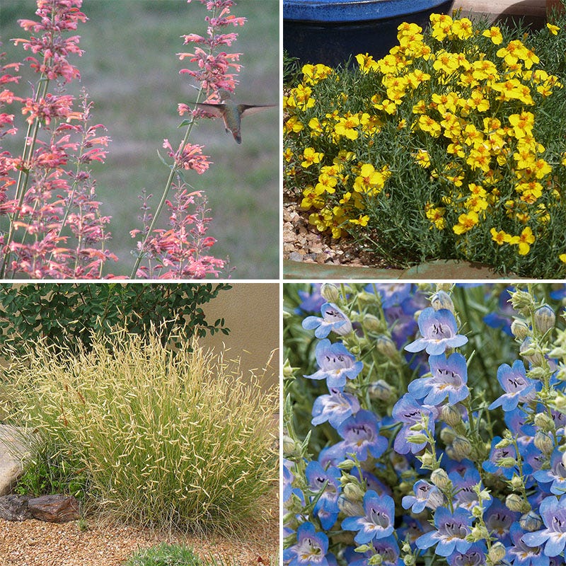 High Country Gardens Signature Collection