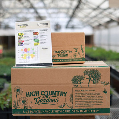 Summer Dreams Pre-Planned Garden