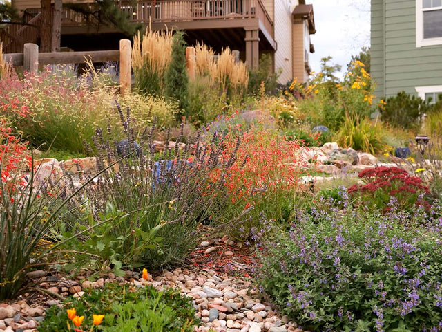 Sustainable Backyard Learning Center