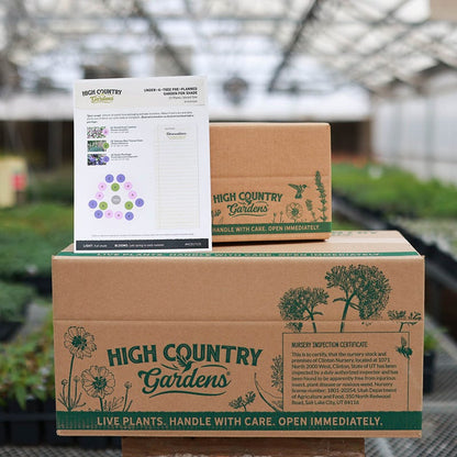 Under-A-Tree Pre-Planned Garden For Shade