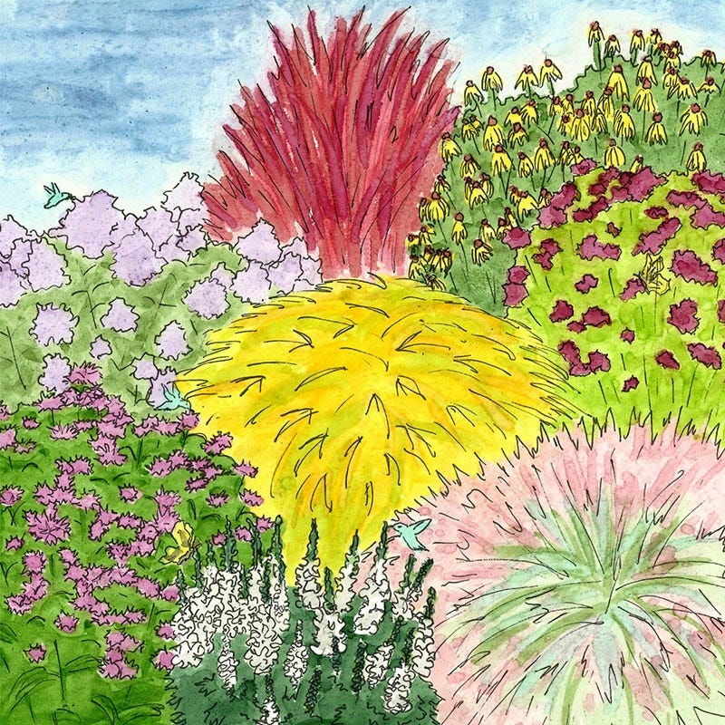 Rain Garden Pre-Planned Garden