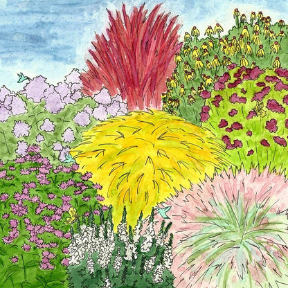 Rain Garden Pre-Planned Garden