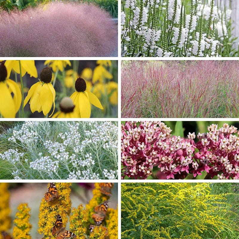 Watershed Wise Pre-Planned Garden