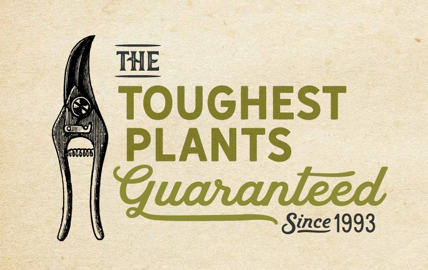 The Toughest Plants Guaranteed - Since 1993