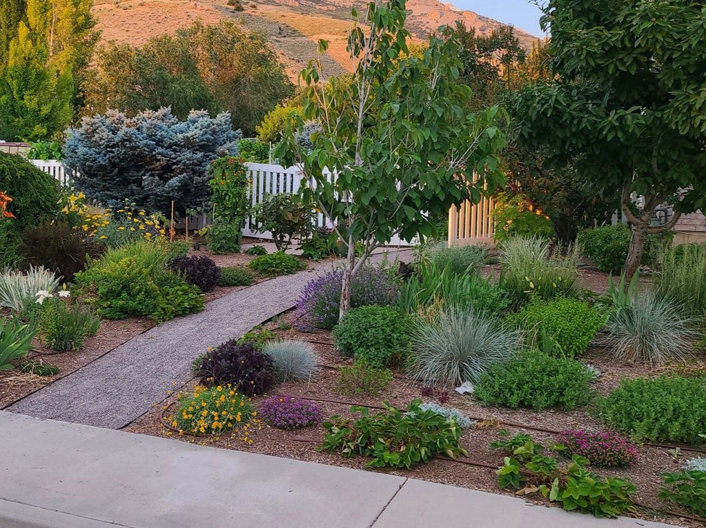A home in Utah replaced their grass lawn with drought-tolerant gardens