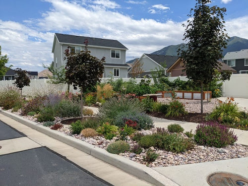 A view of a sidewalk garden and front yard garden in Utah